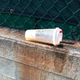 Iced coffee tipped over on dirty cement wall